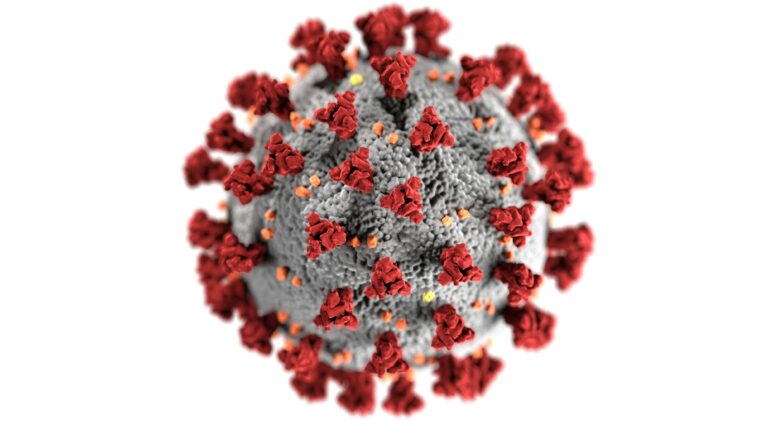 FIRST case of HMPV Virus in India