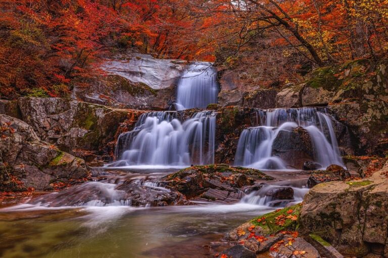 Top 10 Breathtaking Waterfalls in India You Must Visit